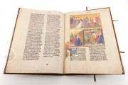 Ottheinrich's Bible, Munich, Bayerische Staatsbibliothek, Cgm 8010/1.2 − Photo 12