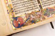 Ottheinrich's Bible, Munich, Bayerische Staatsbibliothek, Cgm 8010/1.2 − Photo 13