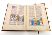 Ottheinrich's Bible, Munich, Bayerische Staatsbibliothek, Cgm 8010/1.2 − Photo 14