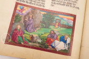 Ottheinrich's Bible, Munich, Bayerische Staatsbibliothek, Cgm 8010/1.2 − Photo 15