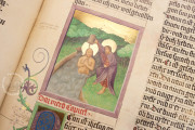 Ottheinrich's Bible, Munich, Bayerische Staatsbibliothek, Cgm 8010/1.2 − Photo 18