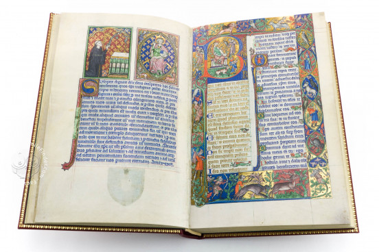 The Peterborough Psalter in Brussels, ms. 9961-62 - Bibliothèque Royale de Belgique (Bruxelles, Belgium) − photo 1