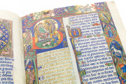 The Peterborough Psalter in Brussels, ms. 9961-62 - Bibliothèque Royale de Belgique (Bruxelles, Belgium) − photo 7