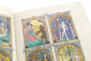 The Peterborough Psalter in Brussels, ms. 9961-62 - Bibliothèque Royale de Belgique (Bruxelles, Belgium) − photo 10