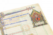 The Peterborough Psalter in Brussels, ms. 9961-62 - Bibliothèque Royale de Belgique (Bruxelles, Belgium) − photo 13