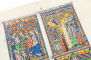 The Peterborough Psalter in Brussels, ms. 9961-62 - Bibliothèque Royale de Belgique (Bruxelles, Belgium) − photo 14