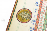 The Peterborough Psalter in Brussels, ms. 9961-62 - Bibliothèque Royale de Belgique (Bruxelles, Belgium) − photo 16
