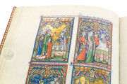 The Peterborough Psalter in Brussels, ms. 9961-62 - Bibliothèque Royale de Belgique (Bruxelles, Belgium) − photo 19