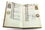 The Peterborough Psalter in Brussels, ms. 9961-62 - Bibliothèque Royale de Belgique (Bruxelles, Belgium) − photo 23