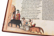 Divina Commedia 1491 Illustrated Incunabulum, Rome, Museo Casa di Dante, C 23 − Photo 4