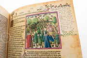 Divina Commedia 1491 Illustrated Incunabulum, Rome, Museo Casa di Dante, C 23 − Photo 7