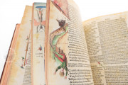 Divina Commedia 1491 Illustrated Incunabulum, Rome, Museo Casa di Dante, C 23 − Photo 9