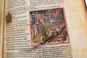 Divina Commedia 1491 Illustrated Incunabulum, Rome, Museo Casa di Dante, C 23 − Photo 15