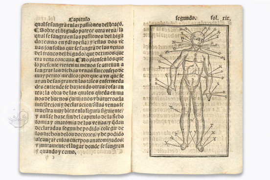 Tractado muy provechoso del anatomia, y phlebotomia..., Munich, Bayerische Staatsbibliothek, RES/ANAT. 297 − Photo 1