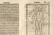 Tractado muy provechoso del anatomia, y phlebotomia..., Munich, Bayerische Staatsbibliothek, RES/ANAT. 297 − Photo 3