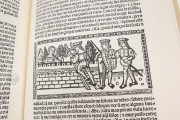 Tragicomedy of Calisto and Melibea and the Old Prostitute Celest, Madrid, Biblioteca Nacional de España, R-4870 − Photo 3