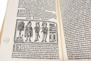 Tragicomedy of Calisto and Melibea and the Old Prostitute Celest, Madrid, Biblioteca Nacional de España, R-4870 − Photo 4