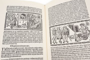 Tragicomedy of Calisto and Melibea and the Old Prostitute Celest, Madrid, Biblioteca Nacional de España, R-4870 − Photo 7