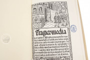 Tragicomedy of Calisto and Melibea and the Old Prostitute Celest, Madrid, Biblioteca Nacional de España, R-4870 − Photo 10