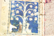 Ramon Llull's Tree of the Philosophy of Love, Palma de Mallorca, Biblioteca Diocesana de Mallorca, F-129 − Photo 7