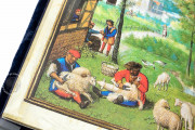Munich-Montserrat Hours Ms. 53 › Biblioteca de la Abadía (Montserrat, Spain)
Ms. Lat. 23638 › Bayerische Staatsbibliothek (Munich, Germany)
Ms. 3 (84.ML.83) › Getty Museum (Los Angeles, USA) Sheep shearing in the Middle Ages