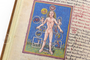 Codex Schürstab, Zürich, Zentralbibliothek Zürich, Ms. C 54 − Photo 4