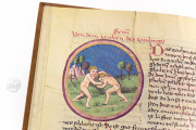 Codex Schürstab, Zürich, Zentralbibliothek Zürich, Ms. C 54 − Photo 9