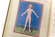 Codex Schürstab, Zürich, Zentralbibliothek Zürich, Ms. C 54 − Photo 12