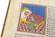 Codex Schürstab, Zürich, Zentralbibliothek Zürich, Ms. C 54 − Photo 15