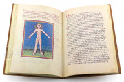 Codex Schürstab, Zürich, Zentralbibliothek Zürich, Ms. C 54 − Photo 19