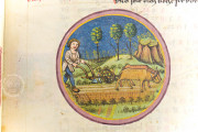 Codex Schürstab, Zürich, Zentralbibliothek Zürich, Ms. C 54 − Photo 20