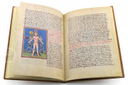 Codex Schürstab, Zürich, Zentralbibliothek Zürich, Ms. C 54 − Photo 21