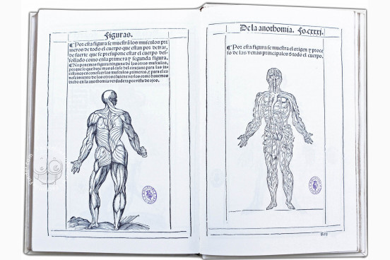 Libro de la Anothomia del Hombre R/2461 - Biblioteca Nacional de Espana (Madrid, Spain)