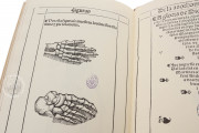 Libro de la Anothomia del Hombre, Madrid, Biblioteca Nacional de España, R/2461 − Photo 4