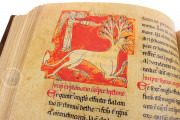 Beatus of Liébana - Lorvao Codex, Lisbon, Arquivo Nacional da Torre do Tombo, Cod. 160 − Photo 28