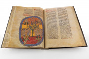 Beatus of Liébana - Manchester Codex, Manchester, John Rylands Library, Ms. Lat. 8 − Photo 17