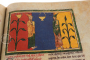 Beatus of Liébana - Manchester Codex, Manchester, John Rylands Library, Ms. Lat. 8 − Photo 18