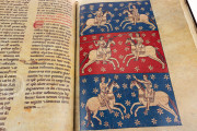 Beatus of Liébana - Manchester Codex, Manchester, John Rylands Library, Ms. Lat. 8 − Photo 29