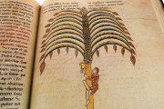 Beatus of Liébana - Manchester Codex, Manchester, John Rylands Library, Ms. Lat. 8 − Photo 31