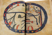 Beatus of Liébana - Manchester Codex, Manchester, John Rylands Library, Ms. Lat. 8 − Photo 33