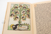 Meditationes, Madrid, Biblioteca Nacional de España, Inc. 1148 − Photo 7