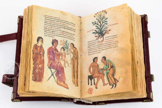 Codex of Medicine of Frederick II, Florence, Biblioteca Medicea Laurenziana, MS Plut. 73.16 − Photo 1