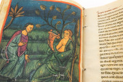 Codex of Medicine of Frederick II, Florence, Biblioteca Medicea Laurenziana, MS Plut. 73.16 − Photo 4