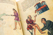 Codex of Medicine of Frederick II, Florence, Biblioteca Medicea Laurenziana, MS Plut. 73.16 − Photo 9