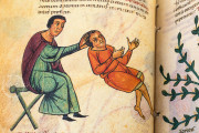 Codex of Medicine of Frederick II, Florence, Biblioteca Medicea Laurenziana, MS Plut. 73.16 − Photo 12