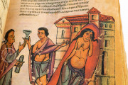 Codex of Medicine of Frederick II, Florence, Biblioteca Medicea Laurenziana, MS Plut. 73.16 − Photo 18