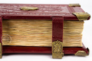 Codex of Medicine of Frederick II, Florence, Biblioteca Medicea Laurenziana, Ms. Plut. 73.16 − Photo 20