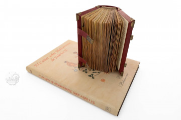 Medical Miscellany « Facsimile edition