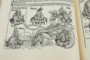 Liber Chronicarum, Madrid, Biblioteca Nacional de España, Inc/750 − Photo 18
