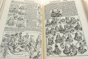 Liber Chronicarum, Madrid, Biblioteca Nacional de España, Inc/750 − Photo 19